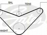 Curea de distributie HONDA ACCORD Mk IV (CB), HONDA ACCORD Mk IV cupe (CB, CC), HONDA ACCORD Mk V (CC, CD) - TRISCAN 8645 5235xs