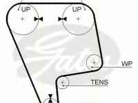 Curea de distributie HONDA CRX (AF, AS), HONDA CRX Mk II (ED, EE), ACURA INTEGRA limuzina - TRISCAN 8645 5170xs