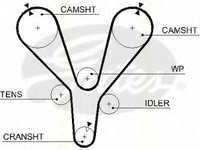 Curea de distributie HYUNDAI SONATA Mk III (EF), HYUNDAI GRANDEUR (XG), HYUNDAI TRAJET (FO) - TRISCAN 8645 5555xs