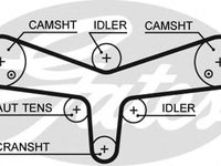 Curea de distributie JAGUAR S-TYPE limuzina (CCX), PEUGEOT 607 limuzina (9D, 9U), JAGUAR XJ limuzina (X350, X358) - GATES 5624XS