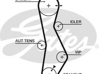 Curea de distributie KIA MAGENTIS (MG) (2005 - 2016) GATES 5579XS