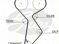 Curea de distributie LANCIA DEDRA (835), LANCIA DELTA Mk II (836), FIAT BRAVA (182) - TRISCAN 8645 5432xs