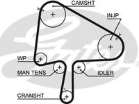 Curea de distributie MAZDA 323 F/P Mk VI (BJ) (1998 - 2004) GATES 5510XS