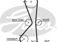 Curea de distributie MITSUBISHI GRANDIS (NA) (2003 - 2016) GATES 5609XS piesa NOUA