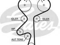 Curea de distributie OPEL ASTRA G hatchback (F48_, F08_), OPEL ASTRA G combi (F35_), OPEL ASTRA G limuzina (F69_) - GATES 5542XS