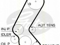 Curea de distributie OPEL ASTRA G hatchback (F48_, F08_), OPEL ASTRA G combi (F35_), OPEL ASTRA G limuzina (F69_) - TRISCAN 8645 5595xs