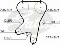 Curea de distributie OPEL ASTRA G hatchback (F48_, F08_), OPEL ASTRA G combi (F35_), OPEL ASTRA G limuzina (F69_) - TRISCAN 8645 5542xs