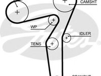 Curea de distributie OPEL SIGNUM (2003 - 2016) GATES 5650XS