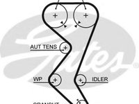 Curea de distributie PEUGEOT 307 (3A/C) (2000 - 2016) GATES 5528XS