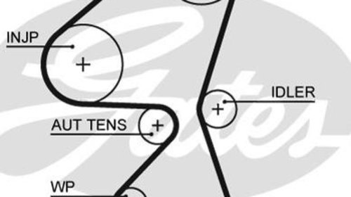 Curea de distributie PEUGEOT 307 3A/C GATES 5