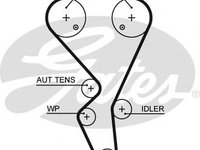 Curea de distributie PEUGEOT 307 CC (3B) (2003 - 2016) GATES 5581XS