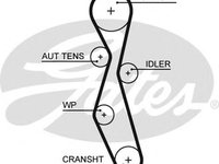 Curea de distributie PEUGEOT 307 SW (3H) (2002 - 2016) GATES 5606XS
