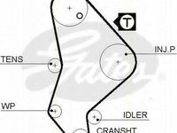 Curea de distributie PEUGEOT 406 limuzina (8B), PEUGEOT 406 Estate (8E/F), PEUGEOT 406 cupe (8C) - TRISCAN 8645 5558xs