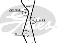 Curea de distributie PEUGEOT 607 limuzina (9D, 9U), PEUGEOT 807 (E), Citroen C8 (EA_, EB_) - GATES 5633XS