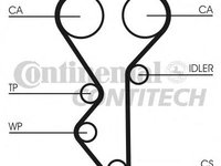 Curea de distributie PEUGEOT 806 (221), Citroen XANTIA (X1), Citroen ZX (N2) - CONTITECH CT955