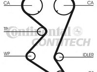 Curea de distributie PEUGEOT 806 (221), Citroen SYNERGIE (22, U6), FIAT ULYSSE (220) - CONTITECH CT1003