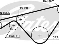 Curea de distributie PORSCHE 968 (1991 - 1995) GATES 5463XS