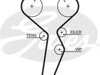 Curea de distributie RENAULT LAGUNA I I (B56_, 556_), RENAULT LAGUNA I Estate (K56_), RENAULT MEGANE I (BA0/1_) - GATES 5671XS