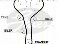 Curea de distributie RENAULT LAGUNA I I (B56_, 556_), RENAULT LAGUNA I Estate (K56_), RENAULT MEGANE I (BA0/1_) - TRISCAN 8645 5507xs