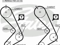 Curea de distributie RENAULT SAFRANE (B54_), Citroen CX combi (MA), Citroen CX (MA) - GATES 5058XS