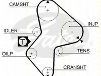 Curea de distributie RENAULT TRAFIC bus TXW TRISCAN 86455485