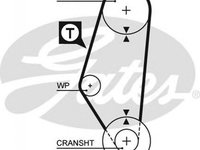 Curea de distributie SEAT CORDOBA 6K1 6K2 GATES 5311