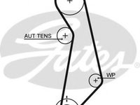 Curea de distributie SEAT CORDOBA (6L2) (2002 - 2009) GATES 5489XS