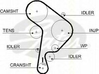 Curea de distributie SEAT CORDOBA limuzina (6K1, 6K2), SEAT IBIZA Mk II (6K1), VW POLO limuzina (6KV2) - TRISCAN 8645 5559xs