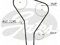 Curea de distributie SEAT CORDOBA limuzina (6K1, 6K2), AUDI A4 limuzina (8D2, B5), SEAT IBIZA Mk II (6K1) - TRISCAN 8645 5622xs