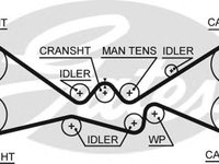 Curea de distributie SUBARU IMPREZA limuzina (GC), SUBARU IMPREZA cupe (GFC), SUBARU FORESTER (SF) - GATES 5612XS