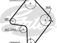 Curea de distributie SUZUKI GRAND VITARA XL-7 I (FT) (1998 - 2005) GATES 5355XS