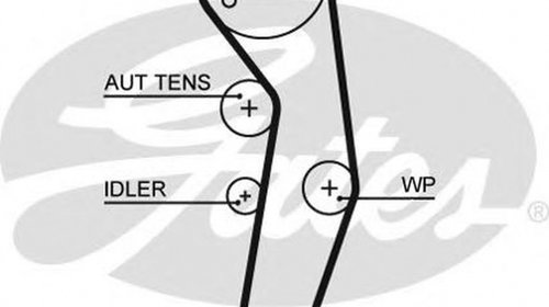 Curea de distributie VW FOX 5Z1 5Z3 GATES 556