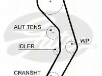 Curea de distributie VW LUPO (6X1, 6E1), AUDI A2 (8Z0) - TRISCAN 8645 5601xs