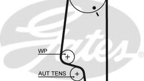 Curea de distributie VW POLO (6N1) (1994 - 19