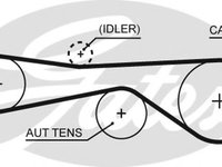 Curea de distributie VW TOUAREG (7LA, 7L6, 7L7) (2002 - 2010) GATES 5676XS