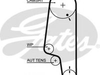 Curea de distributie VW VENTO (1H2) (1991 - 1998) GATES 5428XS piesa NOUA