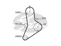 Curea distributie Fiat 132 1972-1982 149AH30