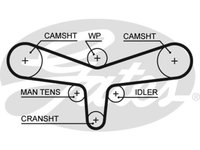 Curea distributie Gates 5557XS
