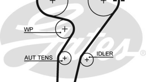Curea distributie Gates pt fiat barchetta, co