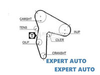 Curea distributie Mitsubishi Pajero 3 (2000-2007)[V7_W,V6_W] 24315 42200