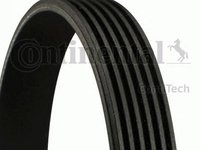 Curea transmisie ALFA ROMEO 147 937 CONTITECH 6PK1836