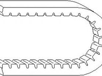 Curea transmisie AUDI 90 (8C, B4), AUDI 80 Avant (8C, B4), VW ATLANTIC I (16) - TOPRAN 100 241