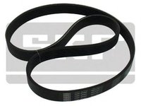 Curea transmisie AUDI TT 8J3 SKF VKMV6PK953