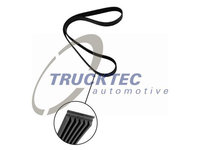 Curea transmisie cu caneluri 02 19 341 TRUCKTEC AUTOMOTIVE pentru Mercedes-benz Sprinter Mercedes-benz R-class Mercedes-benz Vito Mercedes-benz E-class Mercedes-benz Clk Mercedes-benz C-class Mercedes-benz S-class Mercedes-benz G-class Mercedes-benz 