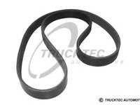 Curea transmisie cu caneluri 07 19 128 TRUCKTEC AUTOMOTIVE pentru Vw Eurovan Vw Transporter Vw Caravelle Vw Vanagon Alfa romeo 156 Mercedes-benz C-class Hyundai Grandeur Hyundai Xg Vw Lt Hyundai Santa Alfa romeo Spider Mercedes-benz A-class Bmw Seria