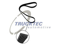 Curea transmisie cu caneluri 07 19 251 TRUCKTEC AUTOMOTIVE pentru Ford Escort