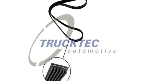 Curea transmisie cu caneluri (0719244 TRUCKTE