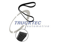 Curea transmisie cu caneluri 08 19 261 TRUCKTEC AUTOMOTIVE pentru Ford Focus Bmw X5