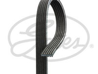 Curea transmisie cu caneluri 6DPK1817 GATES pentru Bmw Seria 3 Bmw X3 Bmw Seria 1 Bmw Seria 5 Bmw X1