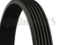 Curea transmisie cu caneluri 6PK2460 CONTINENTAL CTAM pentru Mercedes-benz E-class Mercedes-benz Sl Audi V8 Mercedes-benz Limuzina Audi A6 Mercedes-benz Cl-class Mercedes-benz S-class Audi A8 Audi A4 Chevrolet Suburban Audi A5 Audi Q7